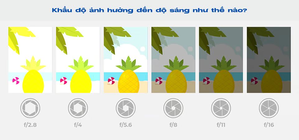 Khẩu độ máy ảnh là gì?