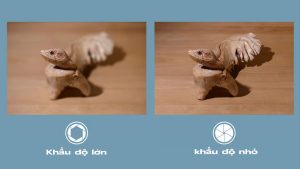 Khẩu độ máy ảnh là gì?