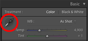 White balance - cân bằng trắng là gì?