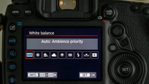 White balance - cân bằng trắng là gì?