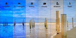 White balance - cân bằng trắng là gì?